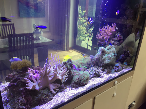 Complete Aquariums - Visual