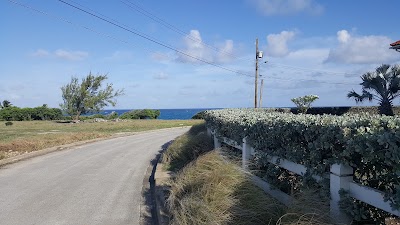 Photos of The Merricks