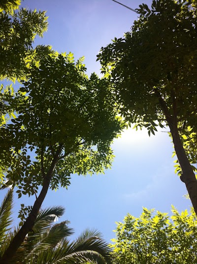 Photos of Faculty of Agronomy - UMSS