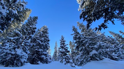 Williams Lake Trail Head and Parking