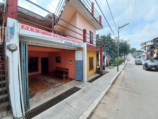 ASOCIACION GANADERA LOCAL ESPECIALIZADA DE ENGORDA DE BOVINOS GANADEROS DE LA SELVA - Thumbnail