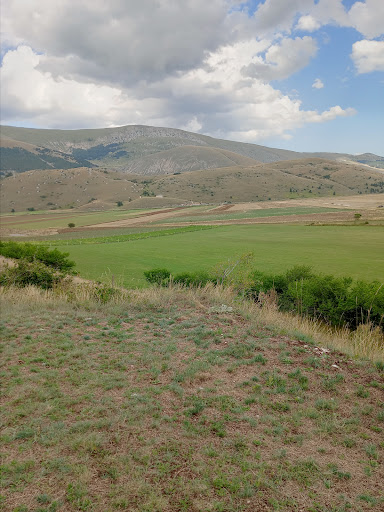 Abruzzo Wild Braceria - Thumbnail