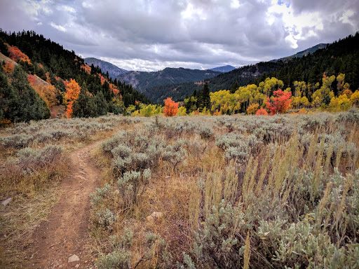 Jardine Juniper Trail Head - Thumbnail