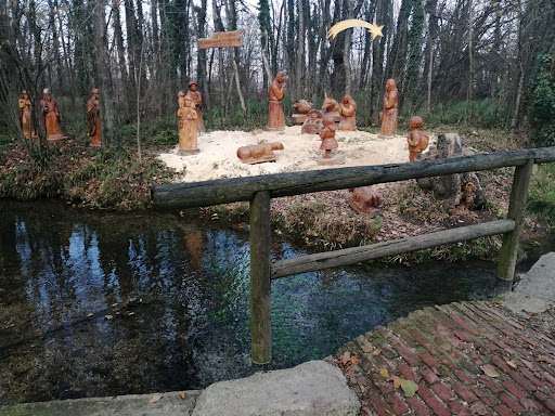 Bosco Urbano - Maddalene - Thumbnail