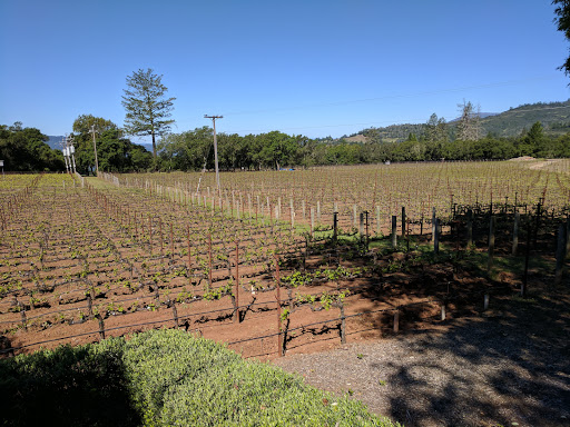 Arkenstone Vineyards