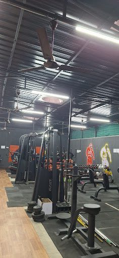 Gallery image 5
