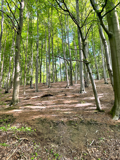 Ehem. Bunkerlager Herbstwald