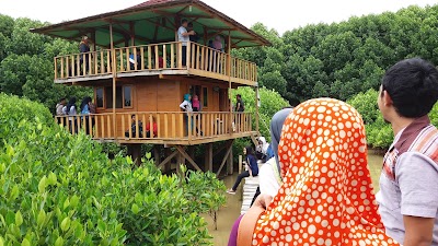 Photos of HUTAN MANGROVE AYAH KEBUMEN