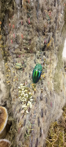 Nature in Art Open Times