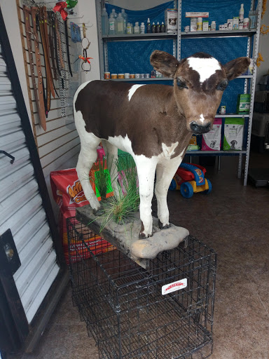 Mi Vet