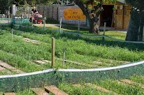 La Ferme aux Escargots à Albon