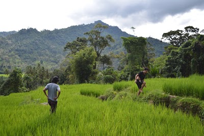 Photos of Pondok Abak Husin