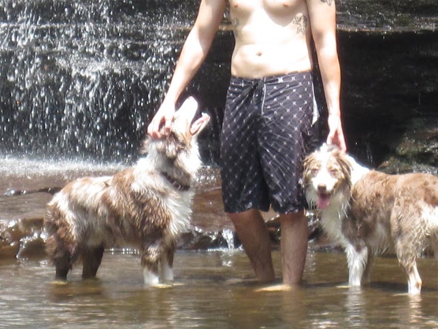 Cascade Falls Trailhead