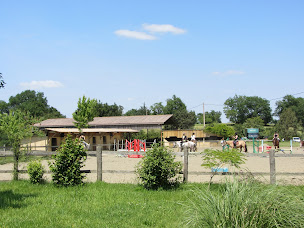 Photo n°5 de Cavale en Herbe Centre équestre poney club Mirande Marciac Gers à Pouylebon (Centre équestre)