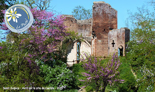 Photo n°16 de Office de Tourisme Tarn-Agout à Saint-Sulpice-La-Pointe à Saint-Sulpice-la-Pointe (Office de tourisme)