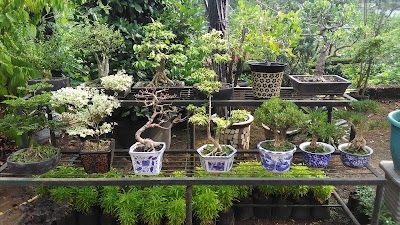 Photos of Puspa Nursery
