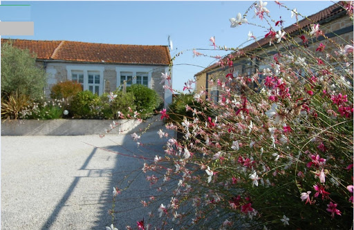 Photo de Le Clos de Tesson à Tesson (17460)