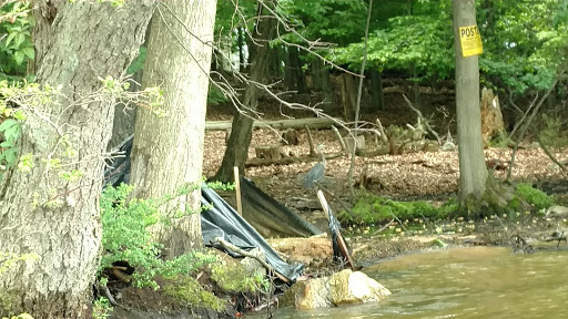 Minisink Park - Thumbnail