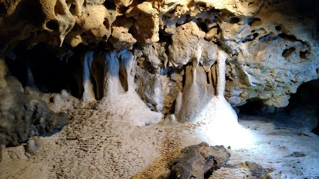 Florida Caverns State Park