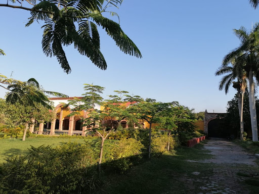 Campamentos Maravillosos - Thumbnail