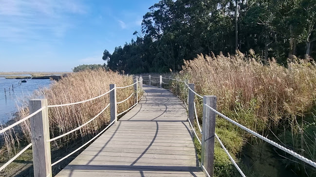 Avaliações doPassadiços de Aveiro (início) em Aveiro - Outro