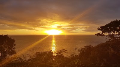 Photos of Mango Bay Cottages