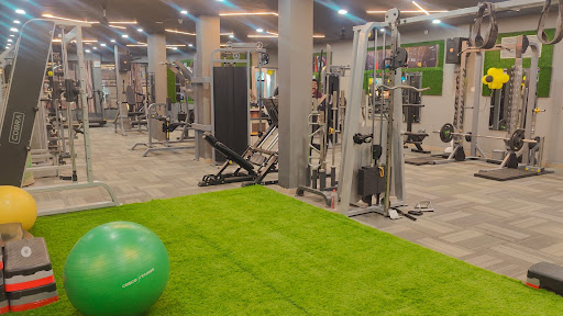 Fit or Fight Family Gym