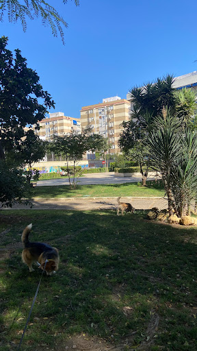Capuchinos Garden - Thumbnail