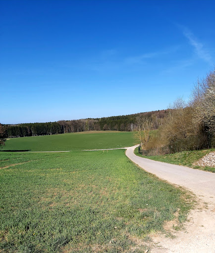 Stammham Wald - Visual