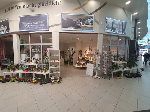 Herda's Blumeneck - Visual