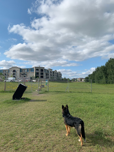 Beaumont dog park - all breeds - Canada