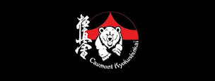 Photo n°7 de Kyokushinkaï Kan Caumont l'éventé à Caumont-sur-Aure (Siège social)