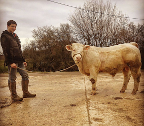 Photo n°5 de Elevage de la Portelle à Marre (Éleveur)