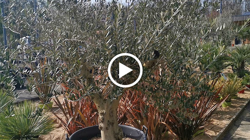 Photo de Les jardins de la Frolle à Bonnes (86300)