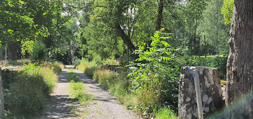 Braås Park - Visual
