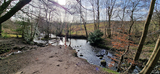 Mill Dam - Visual