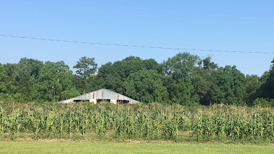 Ridemore Horse Boarding Farm & Berry Picking Destination