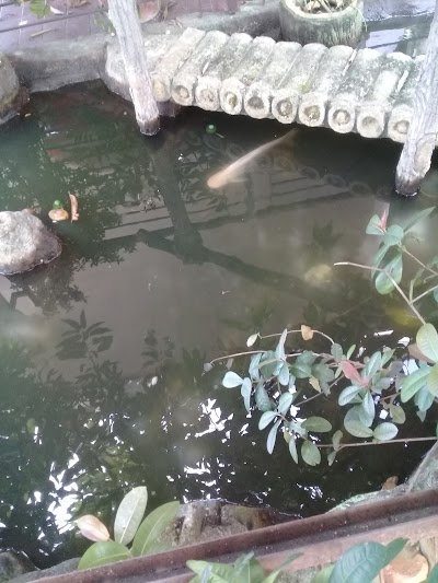 Photos of Kembar Aquarium