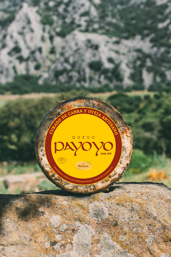 Payoyo cheese Sl - Thumbnail
