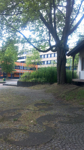 Hans-Sachs-Berufskolleg - Thumbnail
