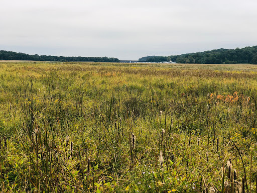 Neabsco Eagles Park - Thumbnail