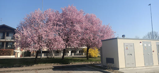 Lavanderia Maxima - Visual