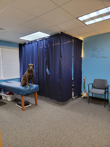Knafla Chiropractic Clinic - Thumbnail