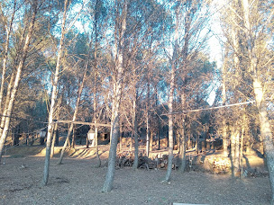 Photo n°5 de La Bartassière à Neffiès (Ferme)