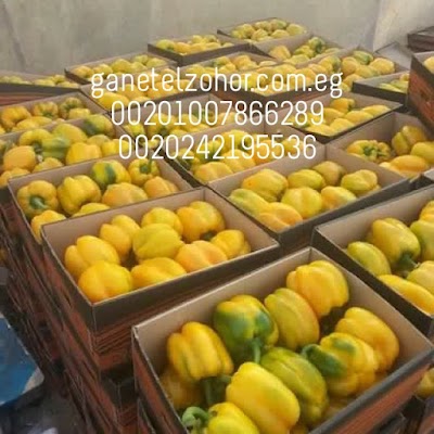 Photos of Al Hoda