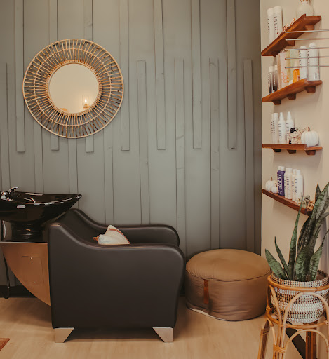 Moxie Studio - Visual