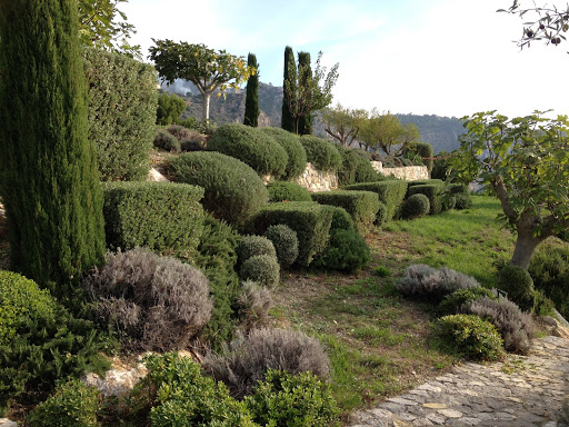Photo de Roque Paysage Elagage - Entretien - Débroussaillage