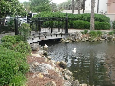 Photos of The Villages