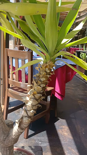 Horarios de Restaurante Pueblo Viejo
