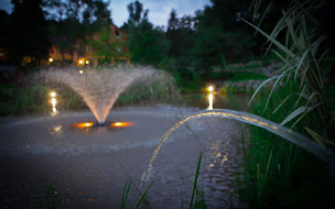 Photo n°30 de L'Auberge du Vallon à Guebwiller (Restaurant)